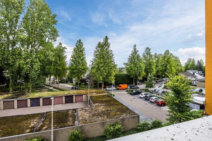 Foto 10 van de Koppele 257