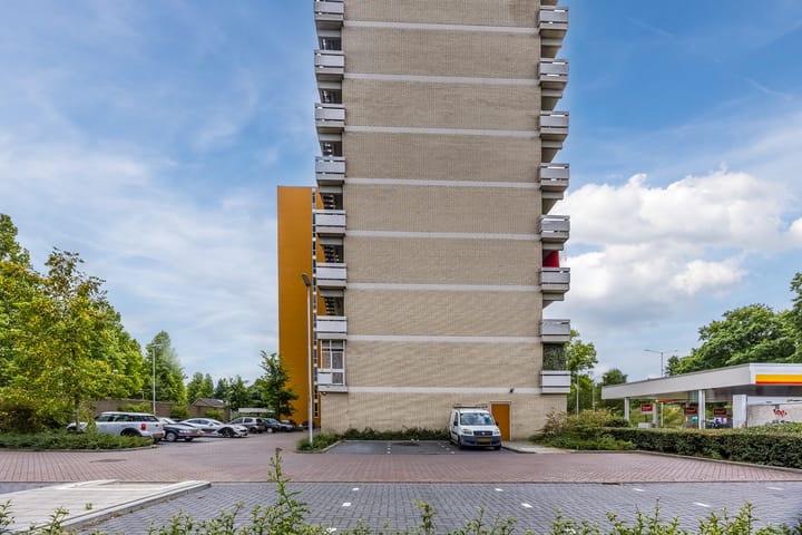 Foto 37 van de Koppele 257