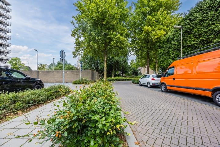 Foto 38 van de Koppele 257