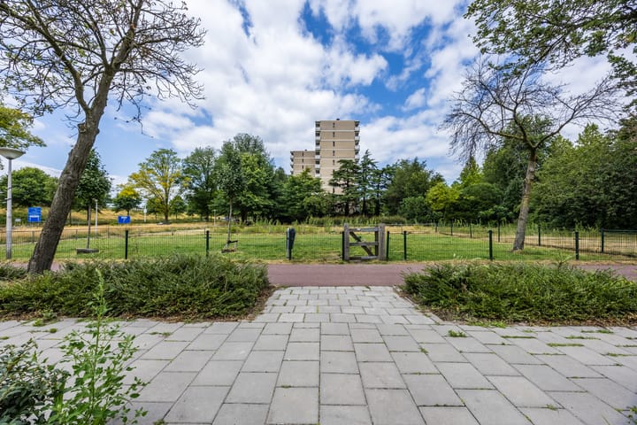 Foto 40 van de Koppele 257