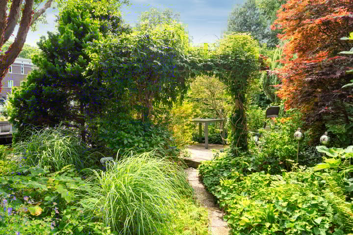 Foto 44 van Via Cimarosa 29