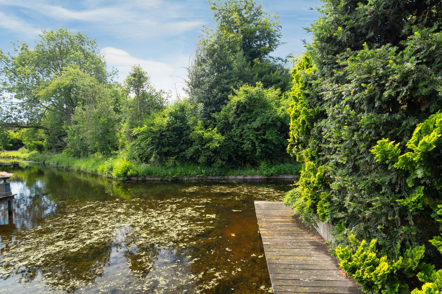 Foto 49 van Via Cimarosa 29