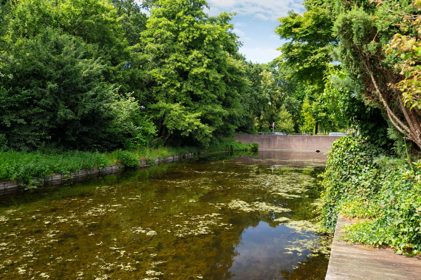 Foto 50 van Via Cimarosa 29