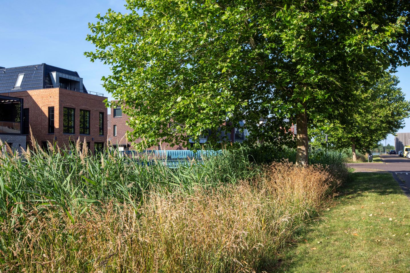 Foto 70 van Kallameer 218