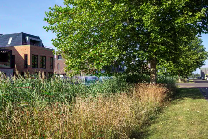 Foto 72 van Kallameer 218