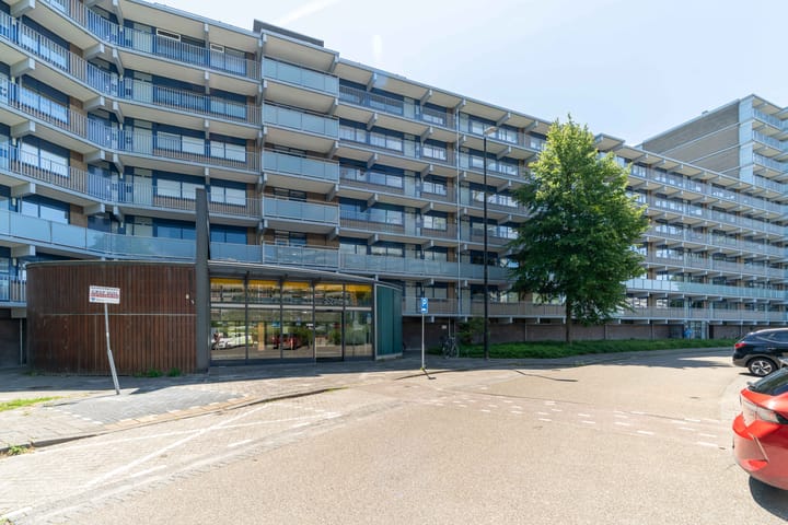 Kadoelerbos 9 main image