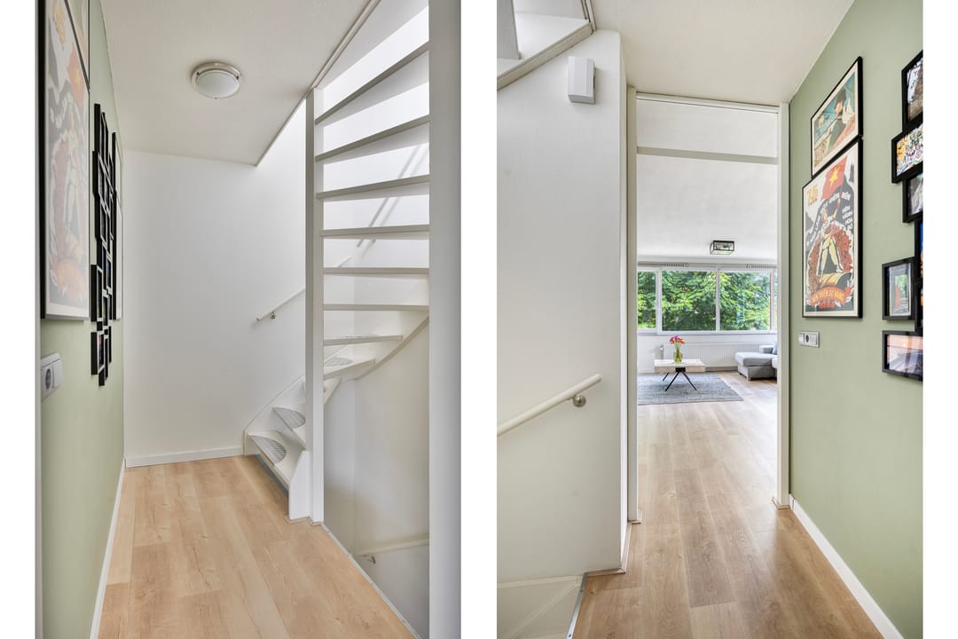 Foto 11 van Zeelt 40