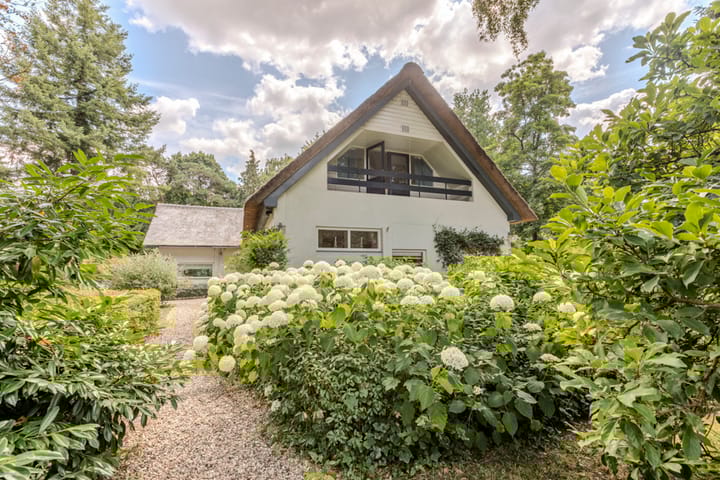 Foto 78 van Thijsselaan 54