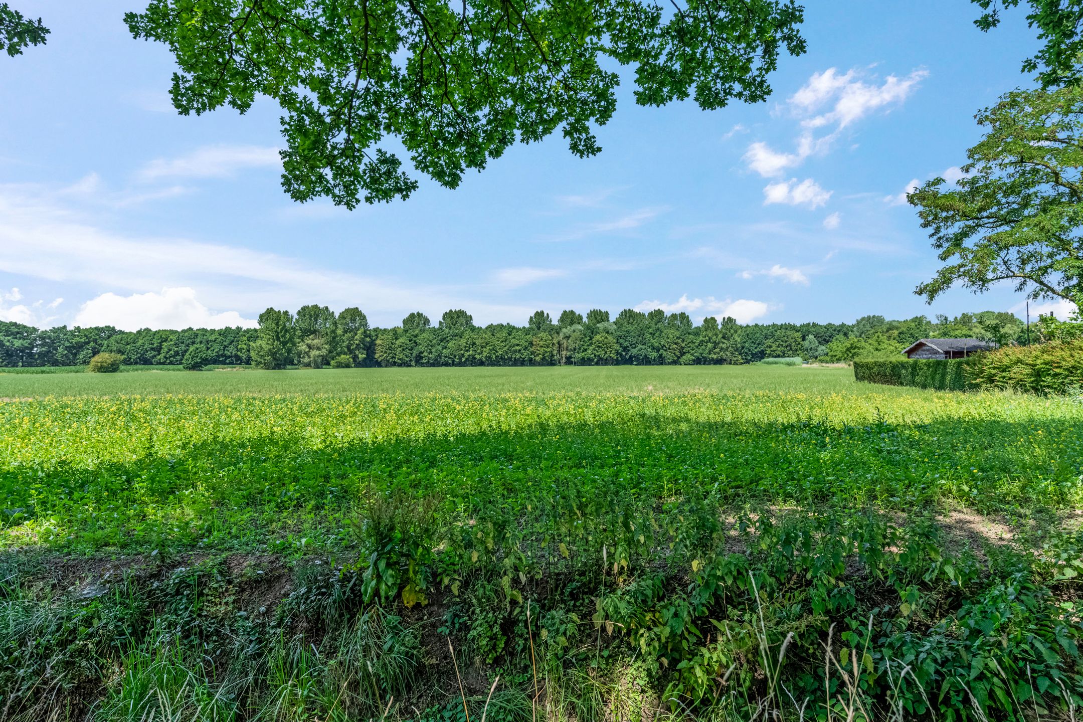 Foto 39 van A. Nieboerplein 7