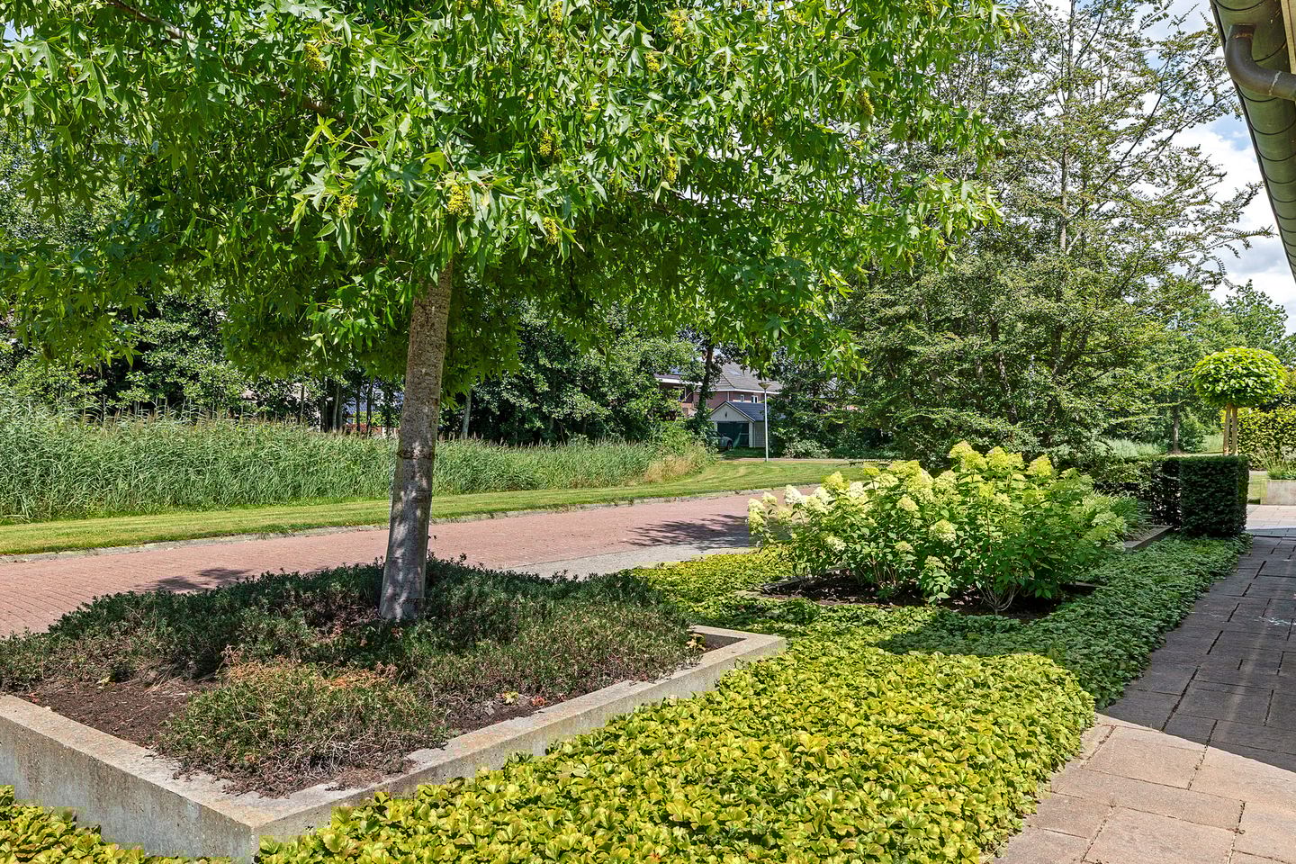 Foto 10 van Zilverschoon 28