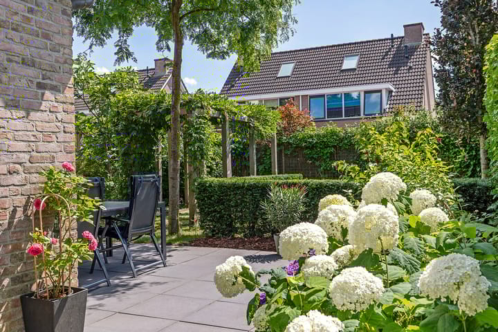 Foto 53 van Zilverschoon 28