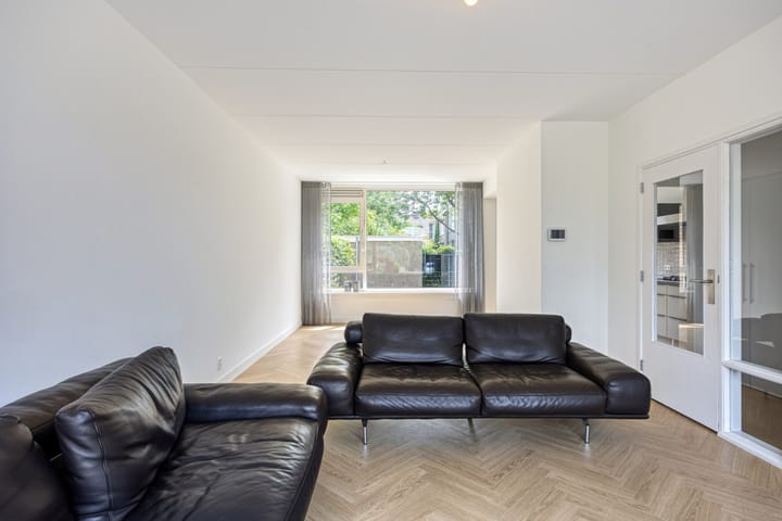 Foto 3 van Stekelbrem 43