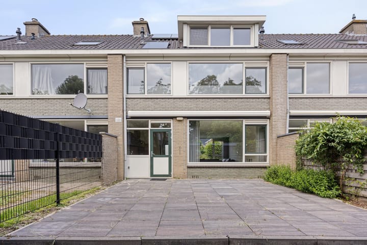 Foto 10 van Stekelbrem 43