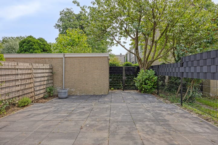 Foto 11 van Stekelbrem 43