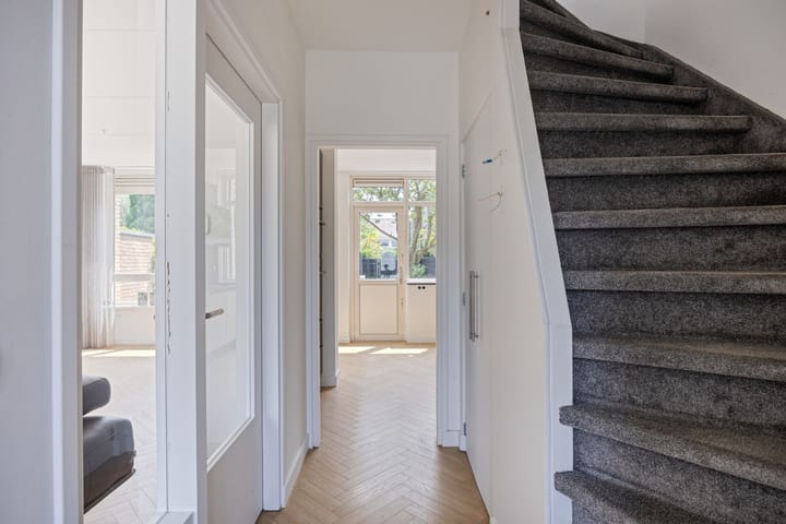 Foto 12 van Stekelbrem 43