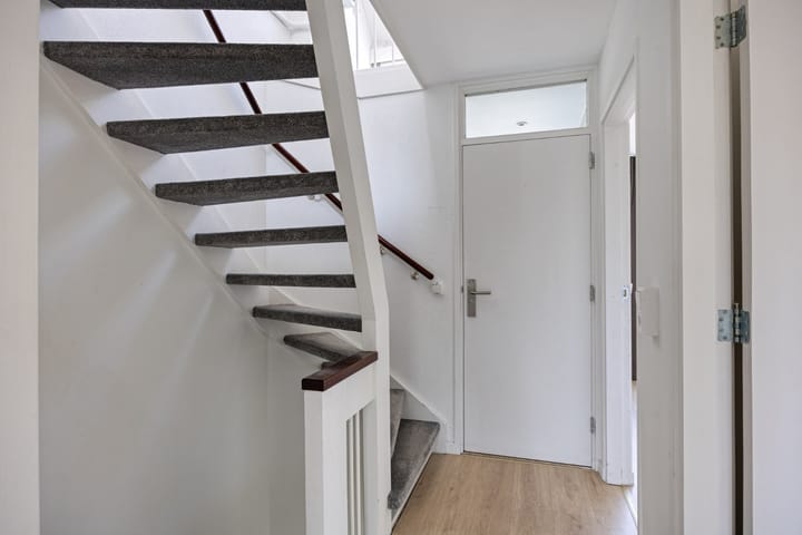 Foto 15 van Stekelbrem 43