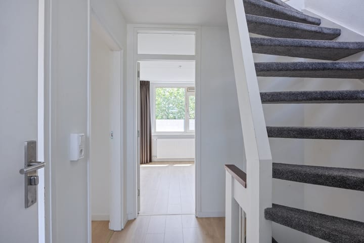 Foto 16 van Stekelbrem 43