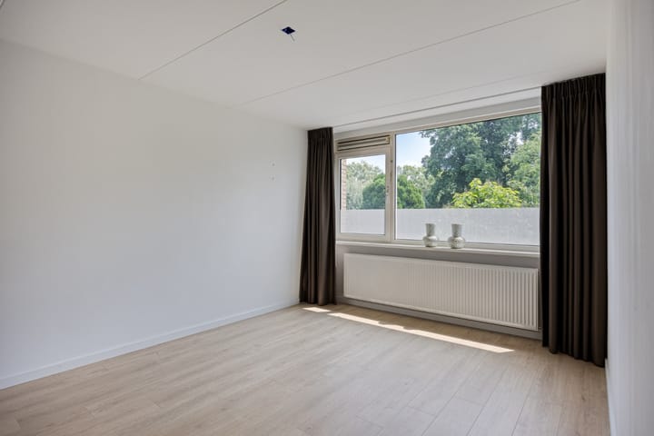 Foto 17 van Stekelbrem 43