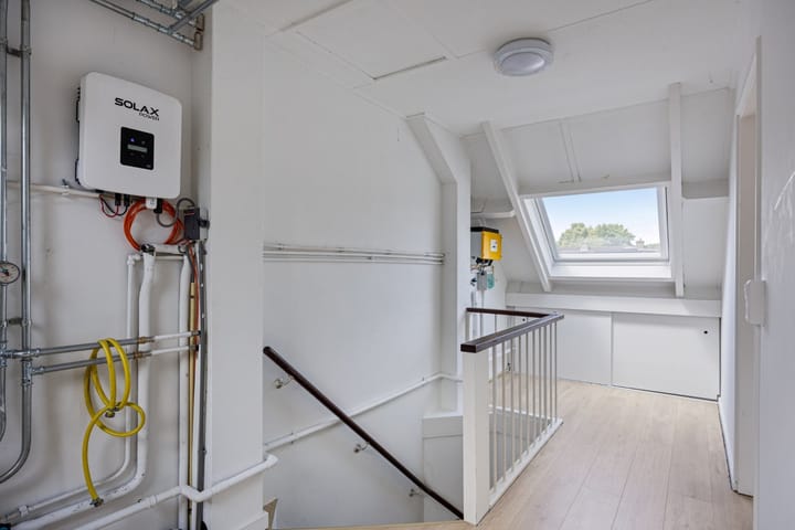 Foto 29 van Stekelbrem 43