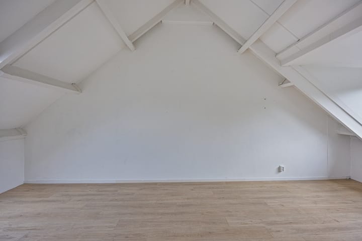 Foto 31 van Stekelbrem 43