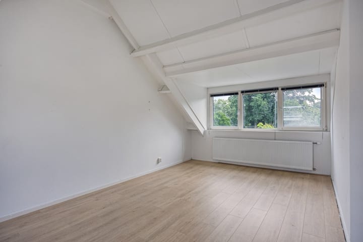 Foto 32 van Stekelbrem 43