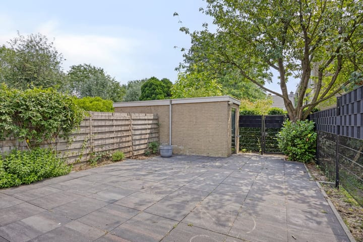 Foto 35 van Stekelbrem 43