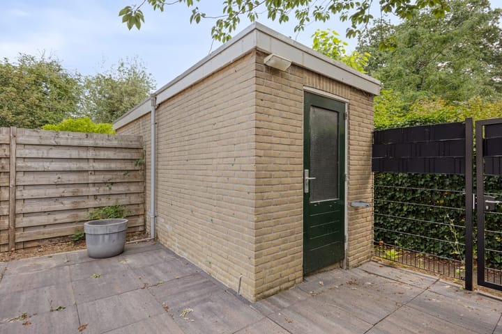 Foto 36 van Stekelbrem 43