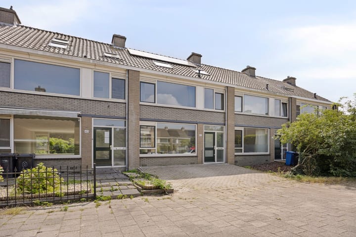 Foto 39 van Stekelbrem 43