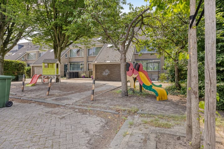 Foto 40 van Stekelbrem 43