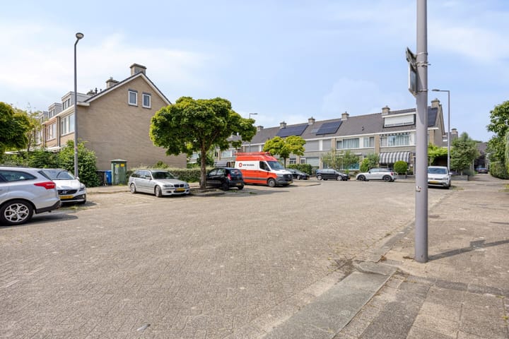 Foto 41 van Stekelbrem 43