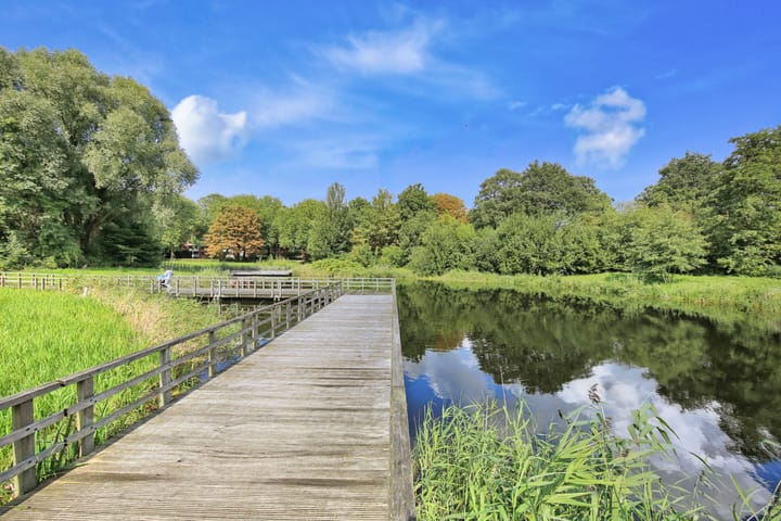 Foto 43 van Jan van Duivenvoordestraat 201