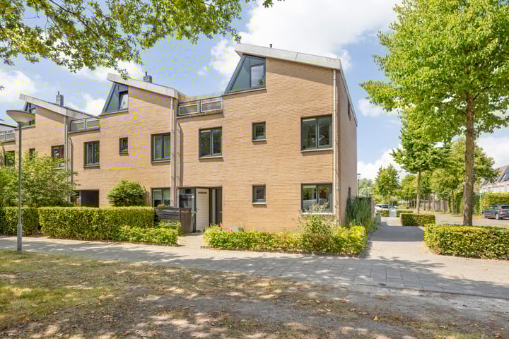 Photo 1 of Argusvlinder 17