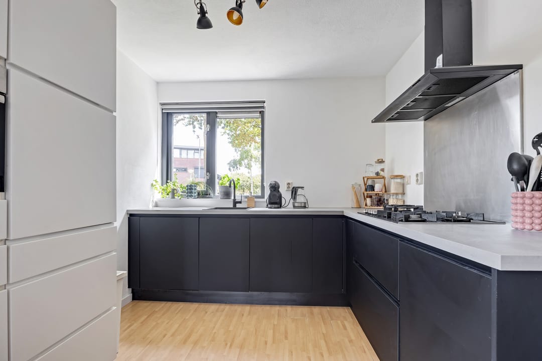 Foto 11 van Argusvlinder 17