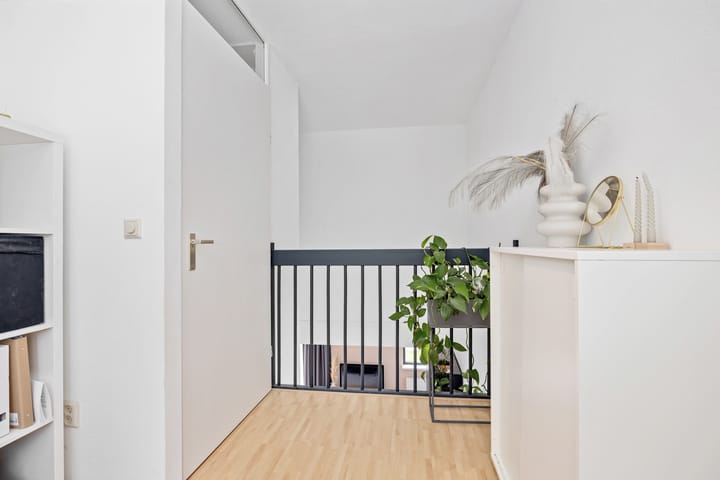 Photo 16 of Argusvlinder 17