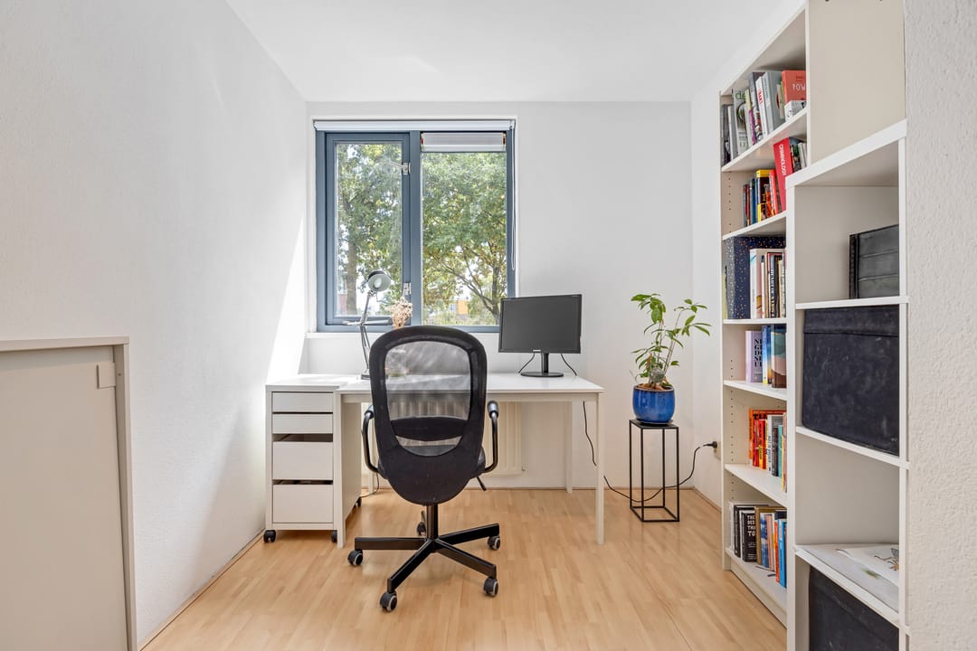 Foto 17 van Argusvlinder 17