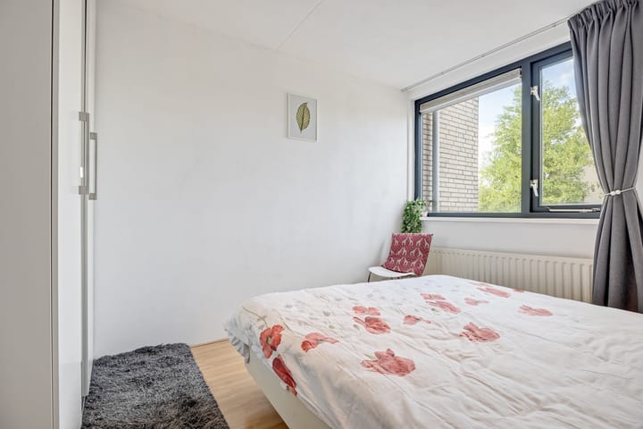 Photo 20 of Argusvlinder 17