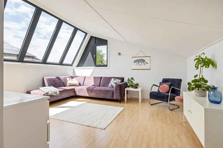 Photo 27 of Argusvlinder 17