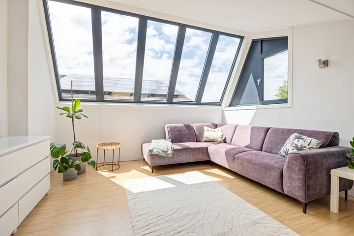 Photo 28 of Argusvlinder 17