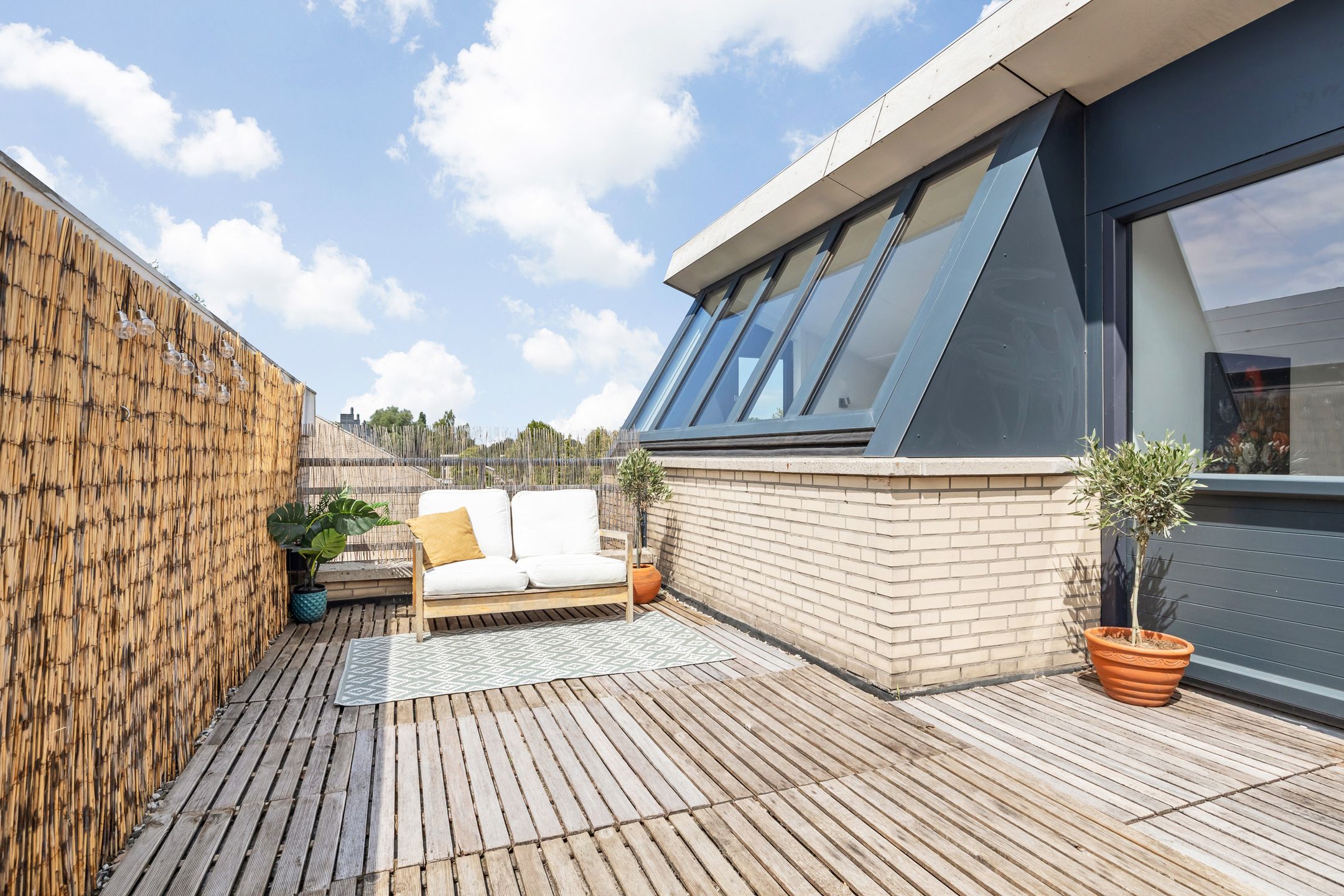 Foto 30 van Argusvlinder 17