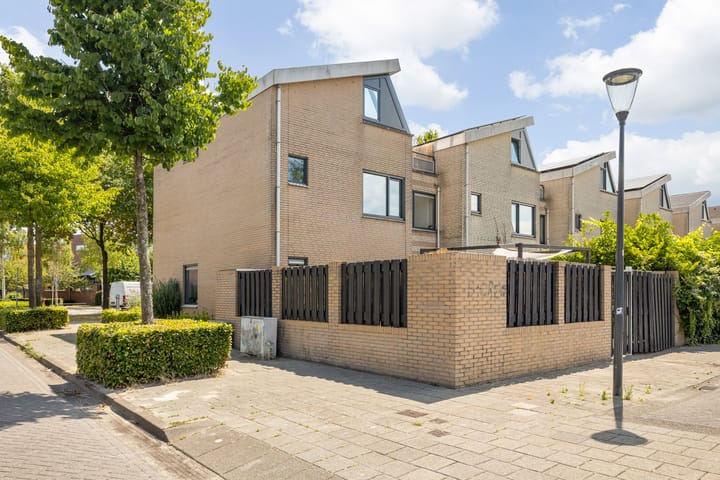 Photo 39 of Argusvlinder 17