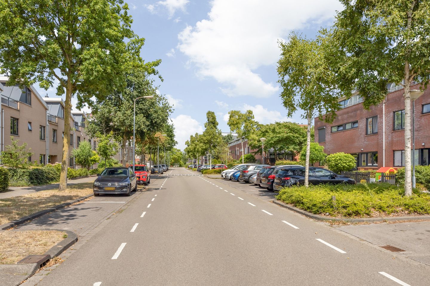 Foto 40 van Argusvlinder 17