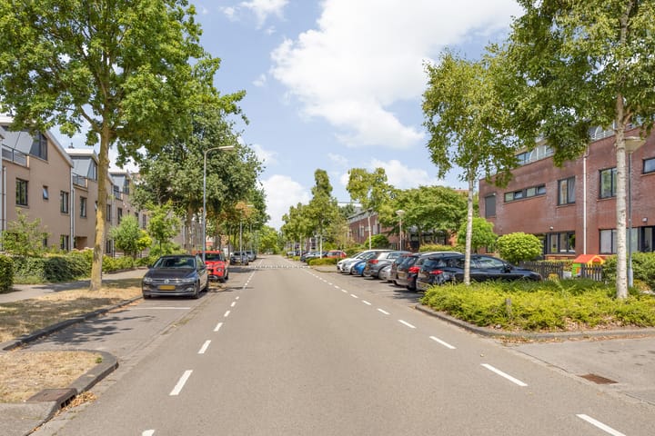 Photo 40 of Argusvlinder 17