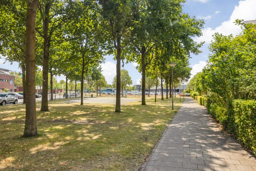 Foto 41 van Argusvlinder 17