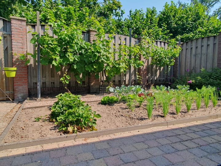 Foto 36 van Kruinstraat 6