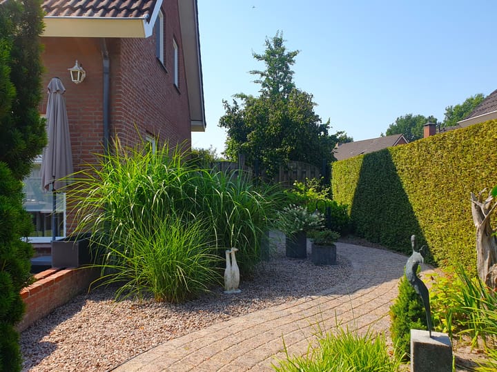 Foto 37 van Kruinstraat 6