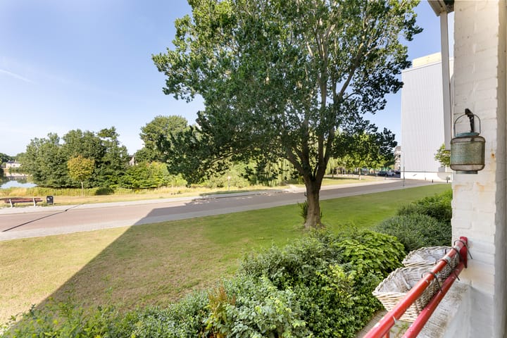 Foto 21 van Schaepmanstraat 129