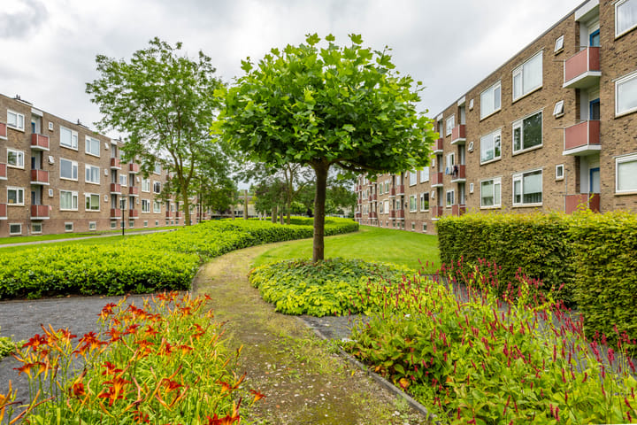 Foto 33 van Paterswoldseweg 738