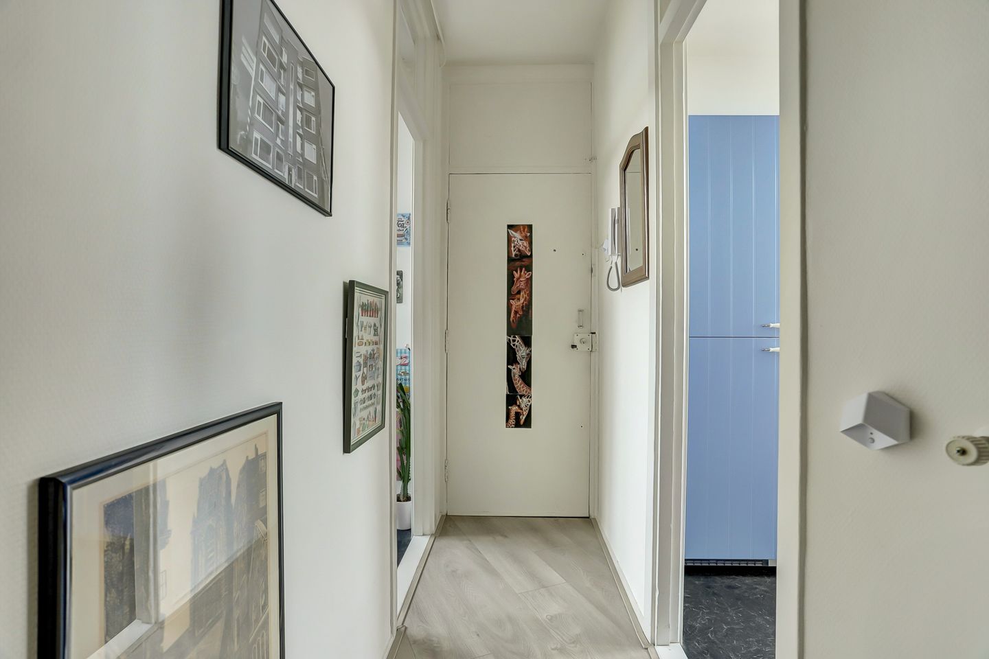 Foto 5 van Burgemeester Knappertlaan 284