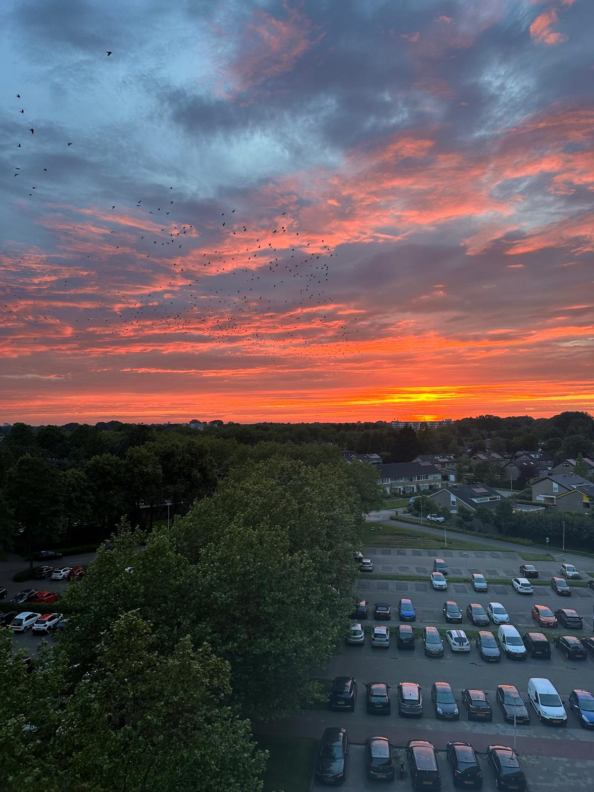 Foto 35 van Tjaarda 348