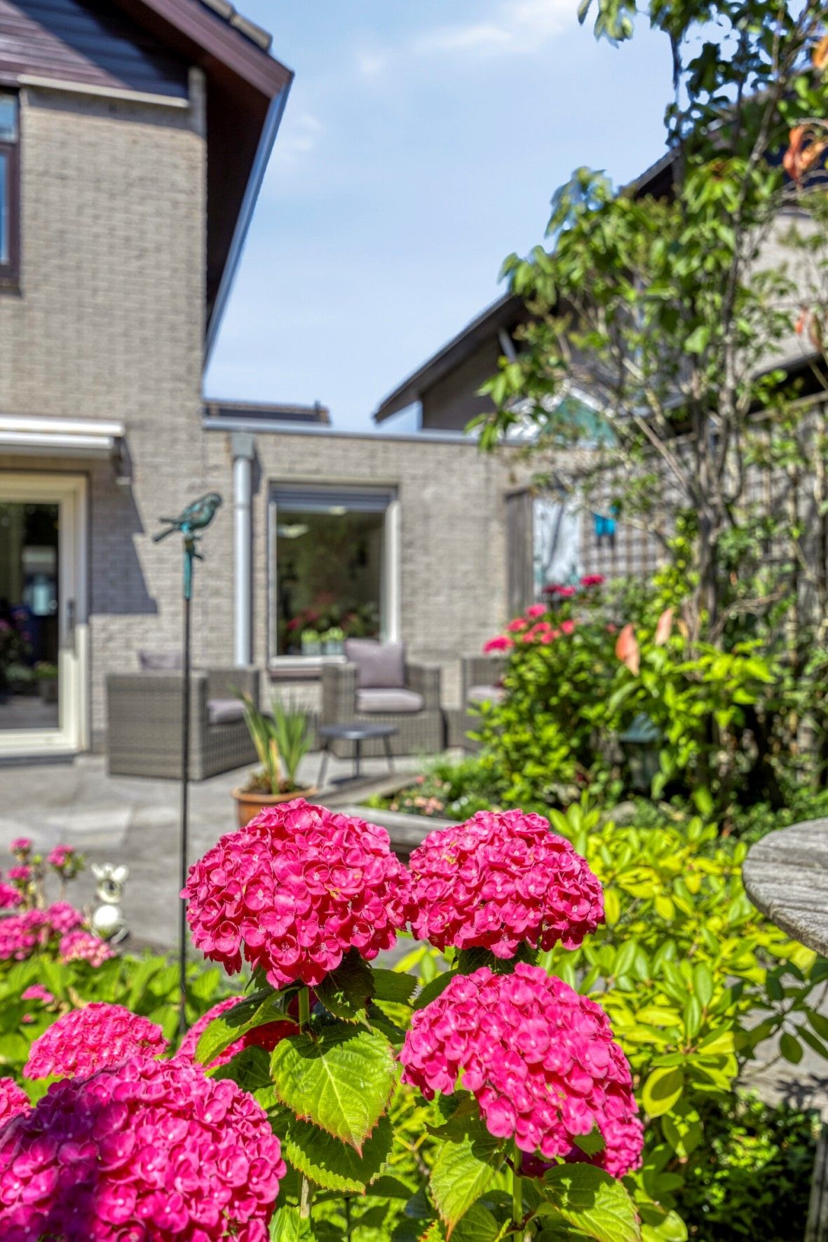 Foto 55 van Cornelis Sterrenburgstraat 88